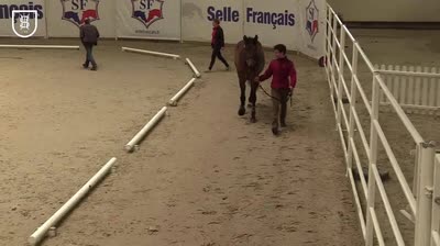 Miniature vidéo
