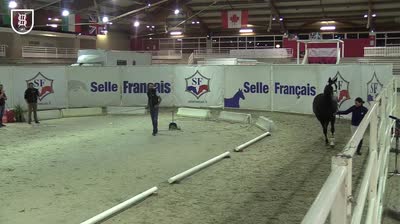 Miniature vidéo