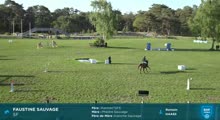 Miniature vidéo