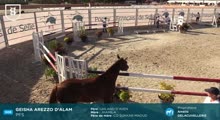 Miniature vidéo