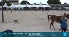Miniature vidéo