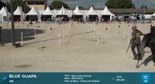 Miniature vidéo
