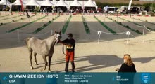 Miniature vidéo