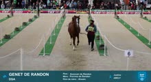 Miniature vidéo
