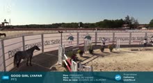 Miniature vidéo