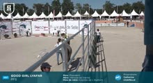 Miniature vidéo