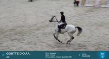 Miniature vidéo