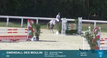 Miniature vidéo