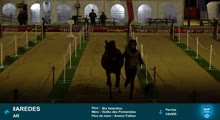 Miniature vidéo
