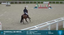 Miniature vidéo