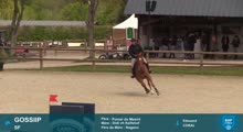 Miniature vidéo