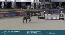 Miniature vidéo