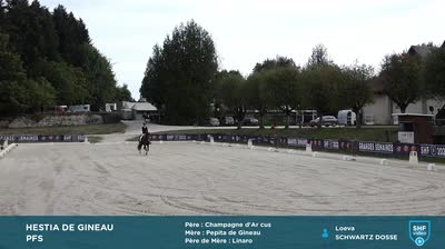 Miniature vidéo