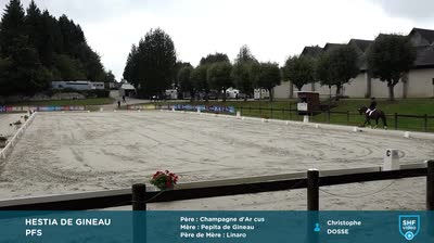 Miniature vidéo