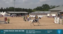 Miniature vidéo