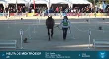 Miniature vidéo