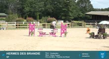 Miniature vidéo