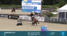 Miniature vidéo