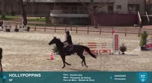 Miniature vidéo
