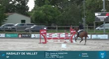 Miniature vidéo