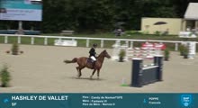 Miniature vidéo