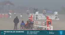 Miniature vidéo