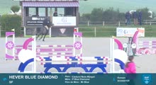 Miniature vidéo