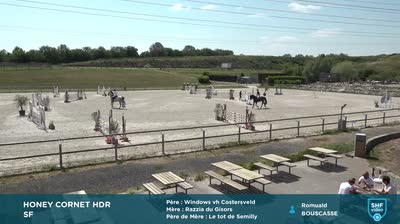 SHF - Société Hippique Française