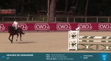 Miniature vidéo