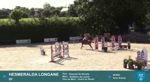 Miniature vidéo