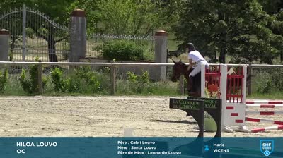 Miniature vidéo