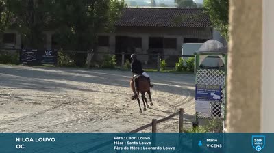 Miniature vidéo