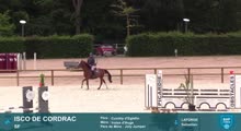 Miniature vidéo
