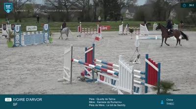 Miniature vidéo