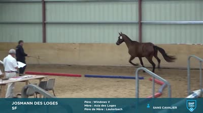 QUALIFICATIF 2 et 3 ans SF // ANAA, Entr - 2022-07-28