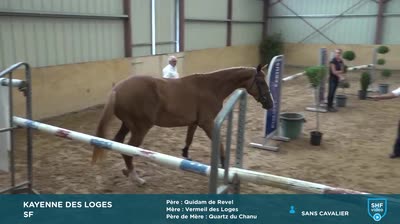 QUALIFICATIF 2 et 3 ans SF // ANAA, Entr - 2022-07-28