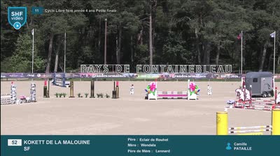 Miniature vidéo