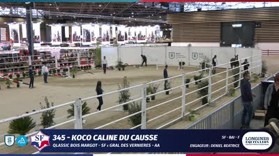 FINALE NATIONALE DES 3 ANS SPORT SELLE FRANCAIS 2023 - 2023-11-01