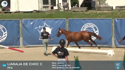 Miniature vidéo
