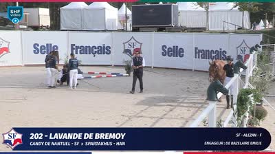 Miniature vidéo