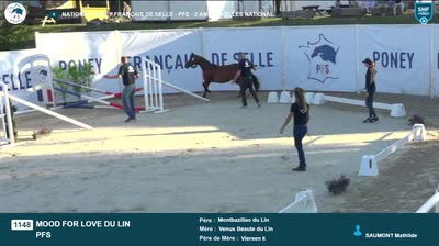 National Poney Français de Selle - 2024-08-14