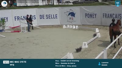Miniature vidéo
