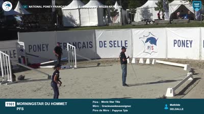 Miniature vidéo