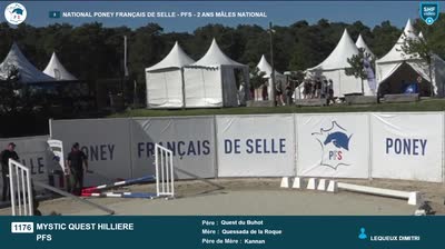 Miniature vidéo