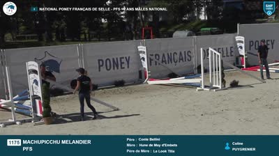 Miniature vidéo