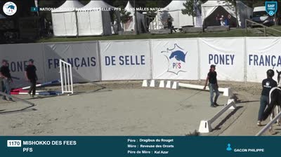 Miniature vidéo