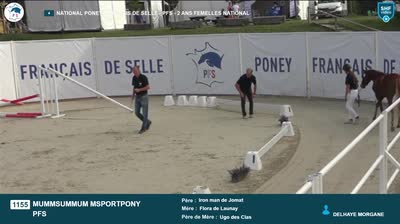 Miniature vidéo