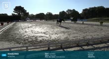 Miniature vidéo