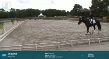Miniature vidéo