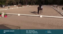 Miniature vidéo